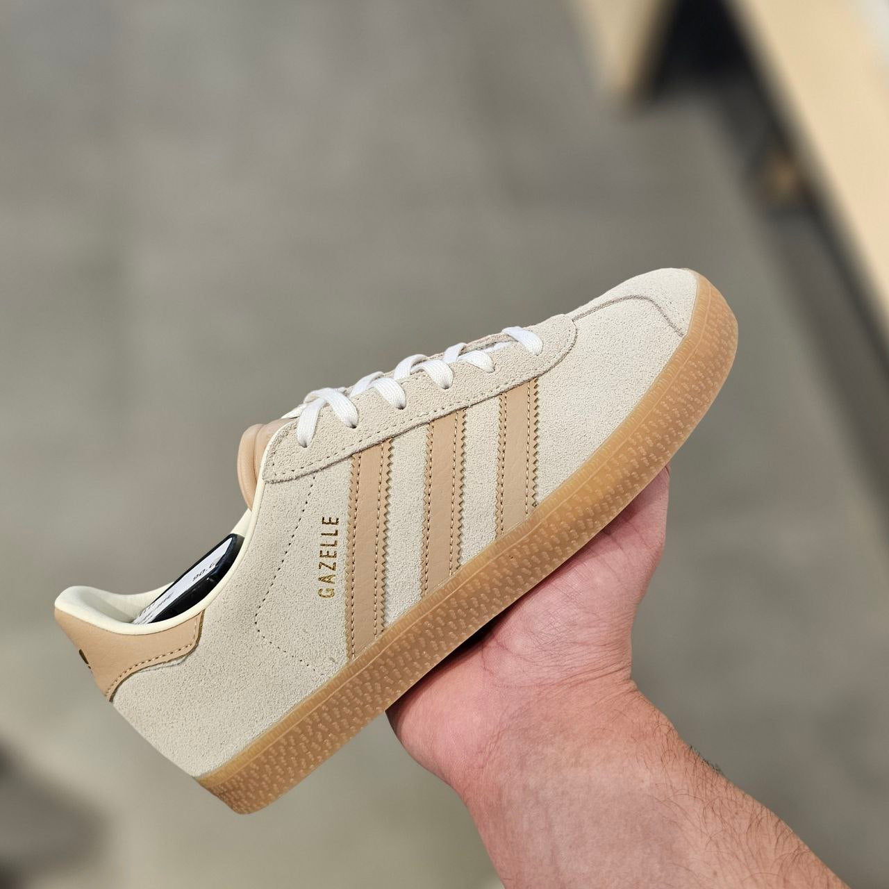 GAZELLE BEGE